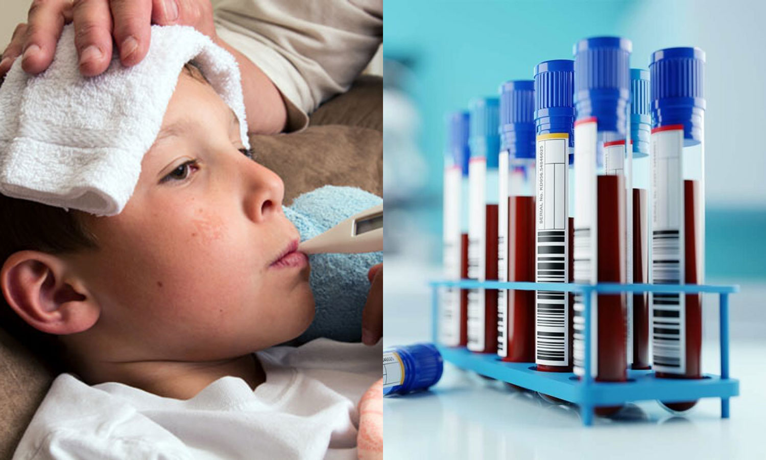 காய்ச்சல் பாதிப்பு அதிகரிப்பு- ரத்த மாதிரிகளை சேகரித்து ஆய்வு மேற்கொள்ளும் சுகாதாரத்துறை காய்ச்சல் பாதிப்பு அதிகரிப்பு- ரத்த மாதிரிகளை சேகரித்து ஆய்வு மேற்கொள்ளும் சுகாதாரத்துறை