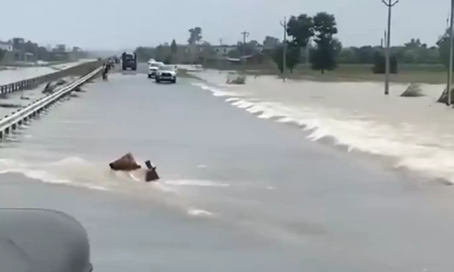 பஞ்சாப்: வெள்ளத்தில் சிக்கி பலியானோர் எண்ணிக்கை 37 ஆக உயர்வு