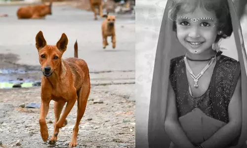 திருவண்ணாமலை: குறுக்கே வந்த தெருநாய்... விபத்தில் சிக்கி 4 வயது சிறுமி உயிரிழப்பு