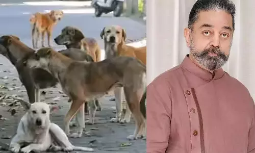 பூதாகரமாக மாறிய தெரு நாய் பிரச்சனை: சிம்பிள் தீர்வு கூறிய கமல்