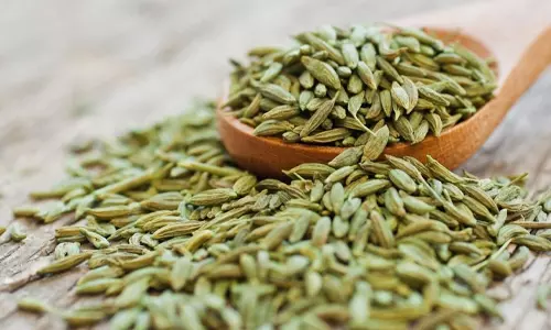 வாயு தொல்லைக்கு மருந்தாகும் பெருஞ்சீரகம்