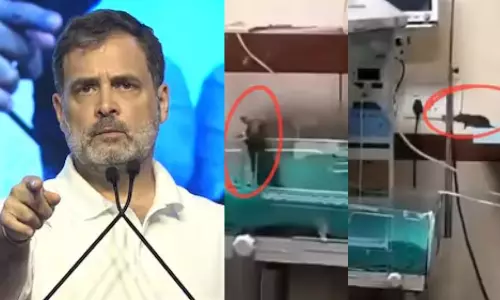 பிரதமர் மோடி வெட்கித் தலைகுனிய வேண்டும்.. அரசு மருத்துவமனையில் எலி கடித்து 2 குழந்தைகள் பலி - ராகுல் ஆவேசம்