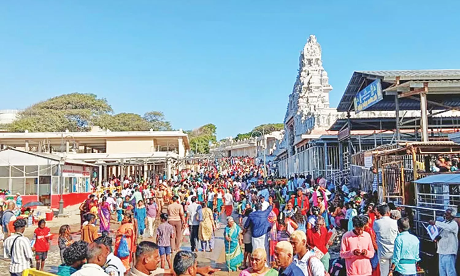 விடுமுறை நாளான இன்று திருச்செந்தூர் கோவிலில் 4 மணி நேரம் காத்திருந்து பக்தர்கள் தரிசனம்