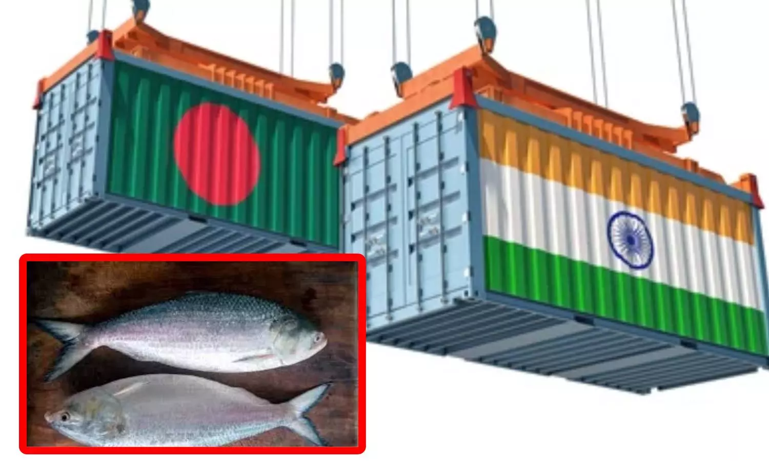 துர்கா பூஜை: 1200 மெட்ரிக் டன் ஹில்சா மீன்களை இந்தியாவுக்கு அனுப்பும் வங்கதேசம்