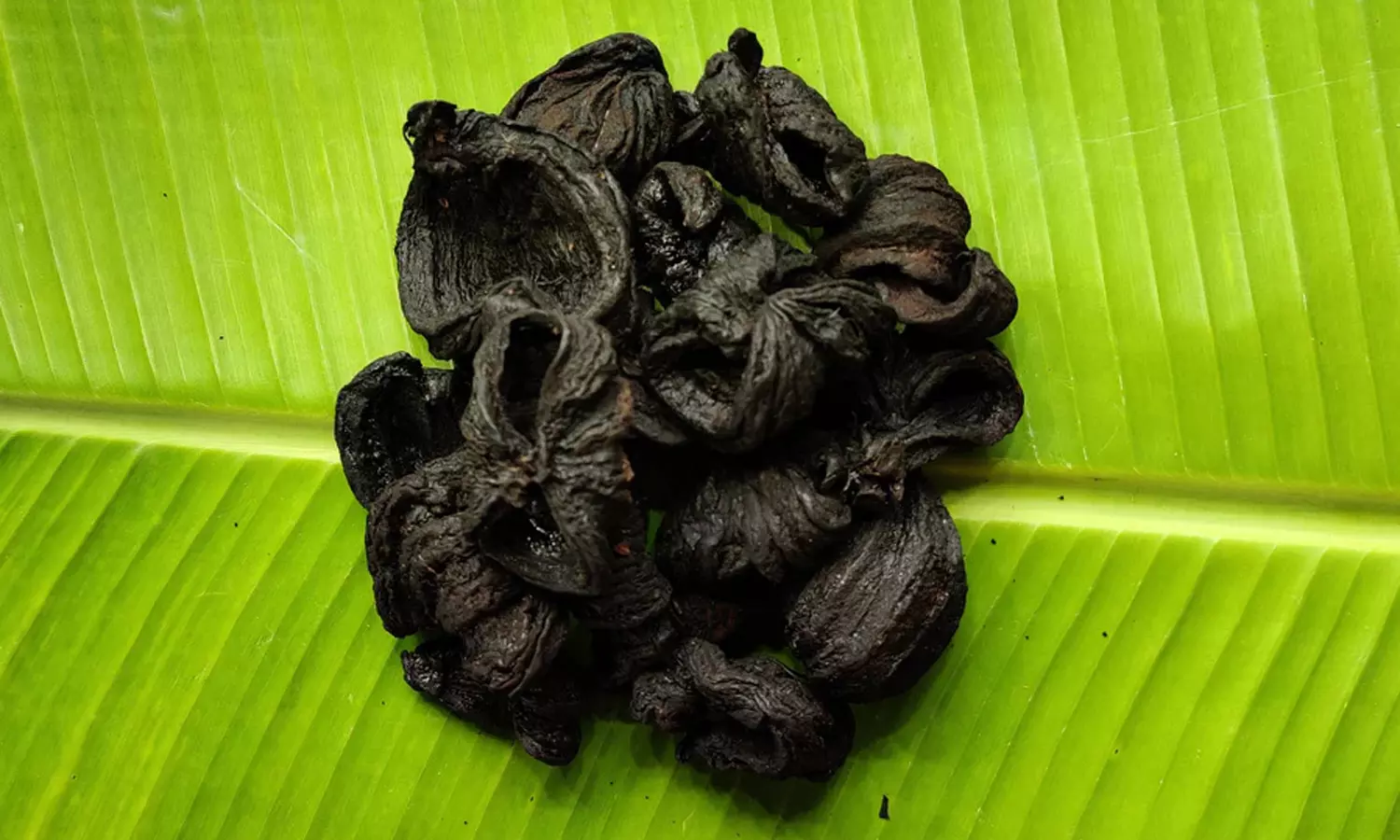 கொழுப்பை குறைக்கும் குடம் புளி