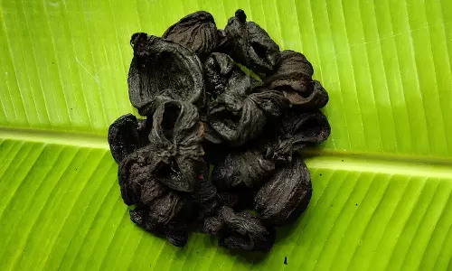 கொழுப்பை குறைக்கும் குடம் புளி