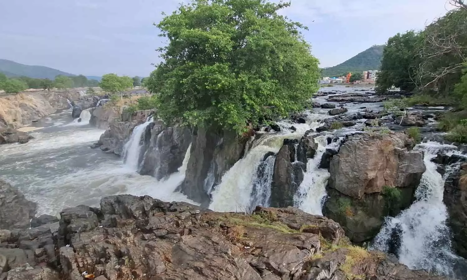 ஒகேனக்கல்லுக்கு நீர்வரத்து வினாடிக்கு 12 ஆயிரம் கனஅடியாக சரிவு ஒகேனக்கல்லுக்கு நீர்வரத்து வினாடிக்கு 12 ஆயிரம் கனஅடியாக சரிவு