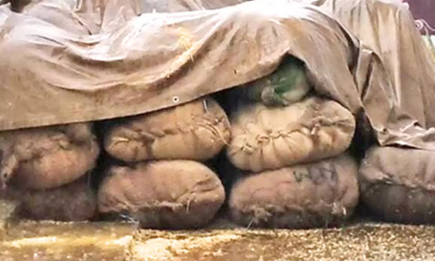 அம்பை சுற்று வட்டாரத்தில் கனமழை- நனைந்து வீணான நெல் மூட்டைகள்