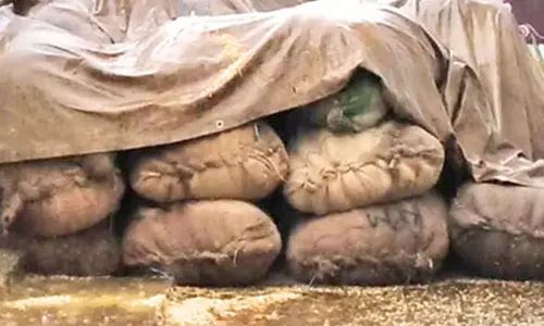 அம்பை சுற்று வட்டாரத்தில் கனமழை- நனைந்து வீணான நெல் மூட்டைகள்