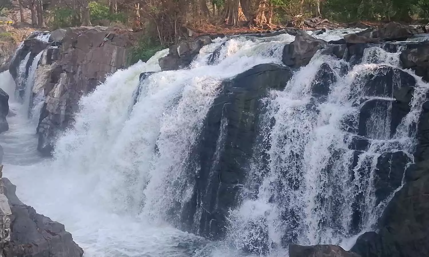 ஒகேனக்கல்லுக்கு நீர்வரத்து 12 ஆயிரம் கனஅடியாக நீடிப்பு ஒகேனக்கல்லுக்கு நீர்வரத்து 12 ஆயிரம் கனஅடியாக நீடிப்பு