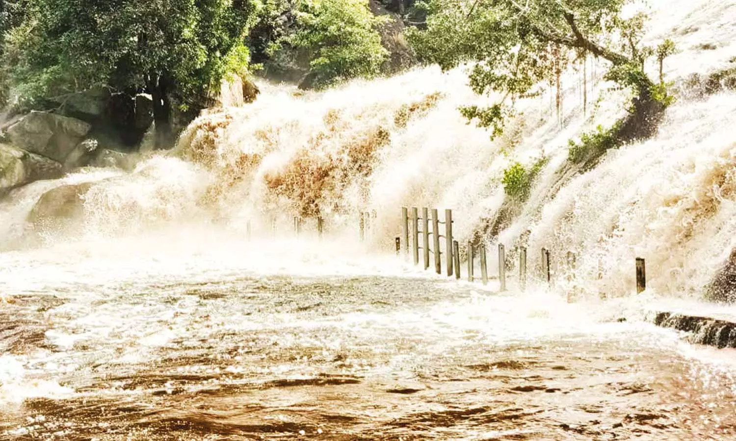உடுமலை வனப்பகுதியில் கனமழை: பஞ்சலிங்க அருவியில் காட்டாற்று வெள்ளம்