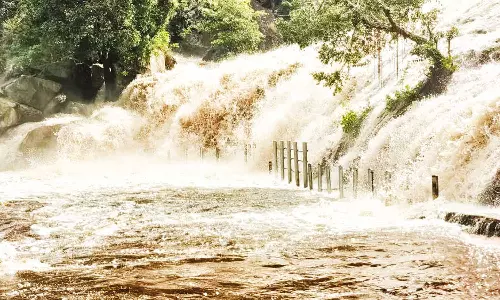 உடுமலை வனப்பகுதியில் கனமழை: பஞ்சலிங்க அருவியில் காட்டாற்று வெள்ளம்