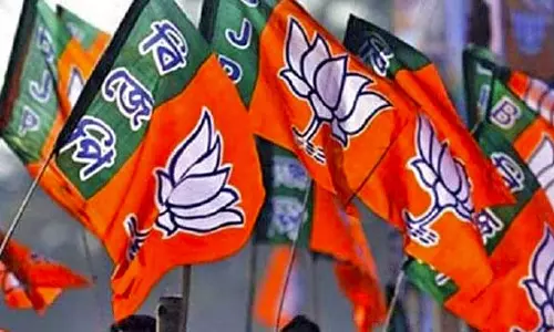 3 மாவட்ட பா.ஜ.க. பூத் கமிட்டி நிர்வாகிகள் மாநாடு- மத்திய மந்திரி நிர்மலா சீதாராமன் பங்கேற்கிறார்