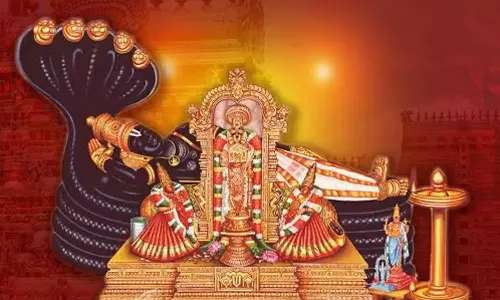 புரட்டாசி மாத ஏகாதசியில் தயிர் உபயோகிக்கலாமா?