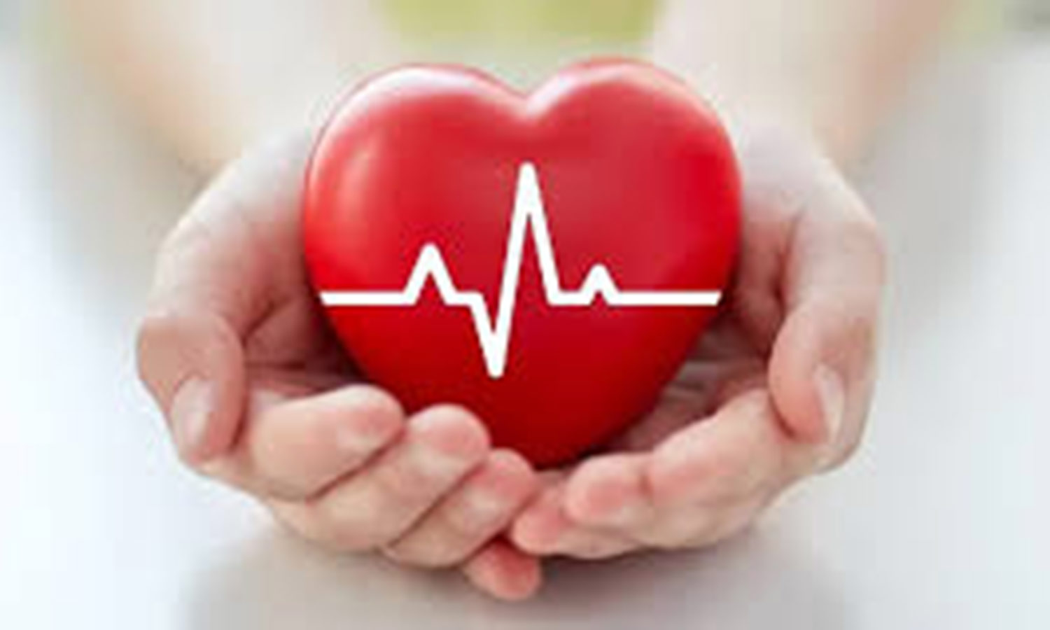 கொழுப்பைக் குறைத்து ஆரோக்கியமான இதயத்தை ஆதரிக்க சிறந்த உணவுகள்