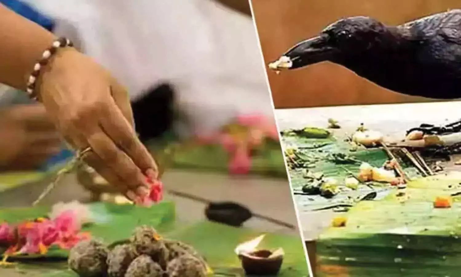 மகாளய பட்சம் என்றால் என்ன என்று தெரியுமா?