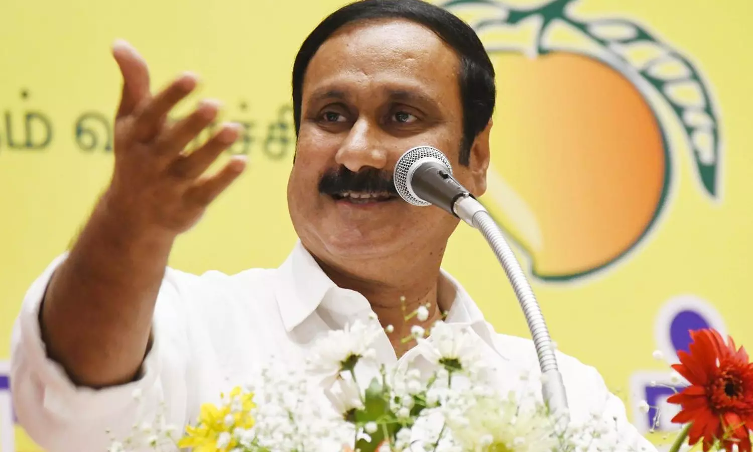 18915889-anbumani.webp