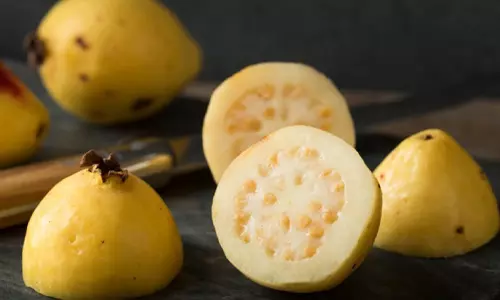 வெள்ளை கொய்யாப்பழம் சிறந்தது?