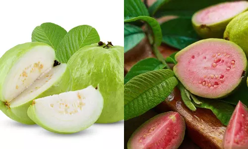 சிவப்பா... வெள்ளையா... எந்த கொய்யாப்பழம் சிறந்தது?