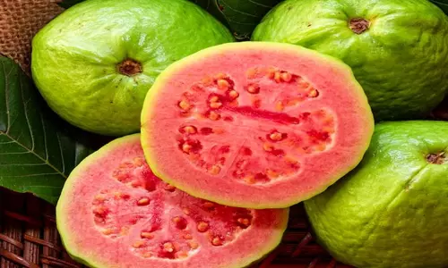 சிவப்பு கொய்யாப்பழம் சிறந்ததா பார்ப்போம்..