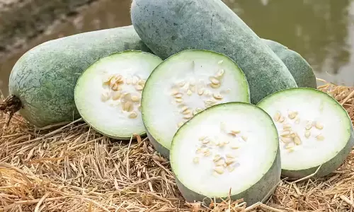 உடலில் நச்சுக்களை நீக்கும் வெள்ளைபூசணி!