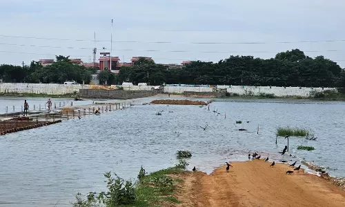 சாத்தனூர் அணை திறப்பு- தென்பெண்ணை ஆற்றில் நீர்வரத்து அதிகரிப்பு