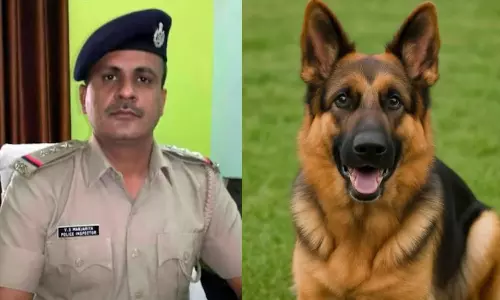 உடலில் கீறிய வளர்ப்பு நாய் - அலட்சியத்தால் ரேபிஸ் பாதித்து காவல் ஆய்வாளர் உயிரிழப்பு