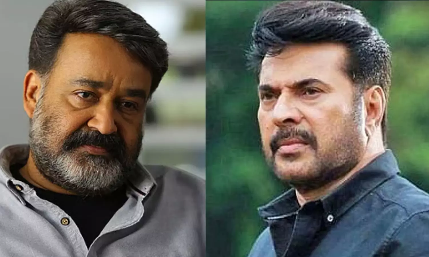 கரூர் உயிரிழப்புகள் - மம்மூட்டி, மோகன்லால் இரங்கல்