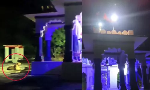 என்ன ஒரு தெய்வீக காட்சி..! கோவிலை சிங்கம் காவல் காக்கும் வீடியோவை பகிர்ந்த ஐபிஎஸ் அதிகாரி