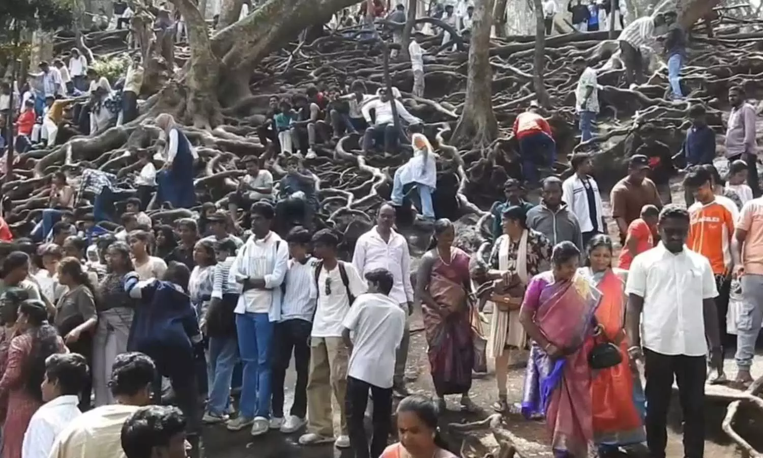 தொடர் விடுமுறை எதிரொலி- கொடைக்கானலில் குவிந்த சுற்றுலா பயணிகளால் போக்குவரத்து நெரிசல் தொடர் விடுமுறை எதிரொலி- கொடைக்கானலில் குவிந்த சுற்றுலா பயணிகளால் போக்குவரத்து நெரிசல்