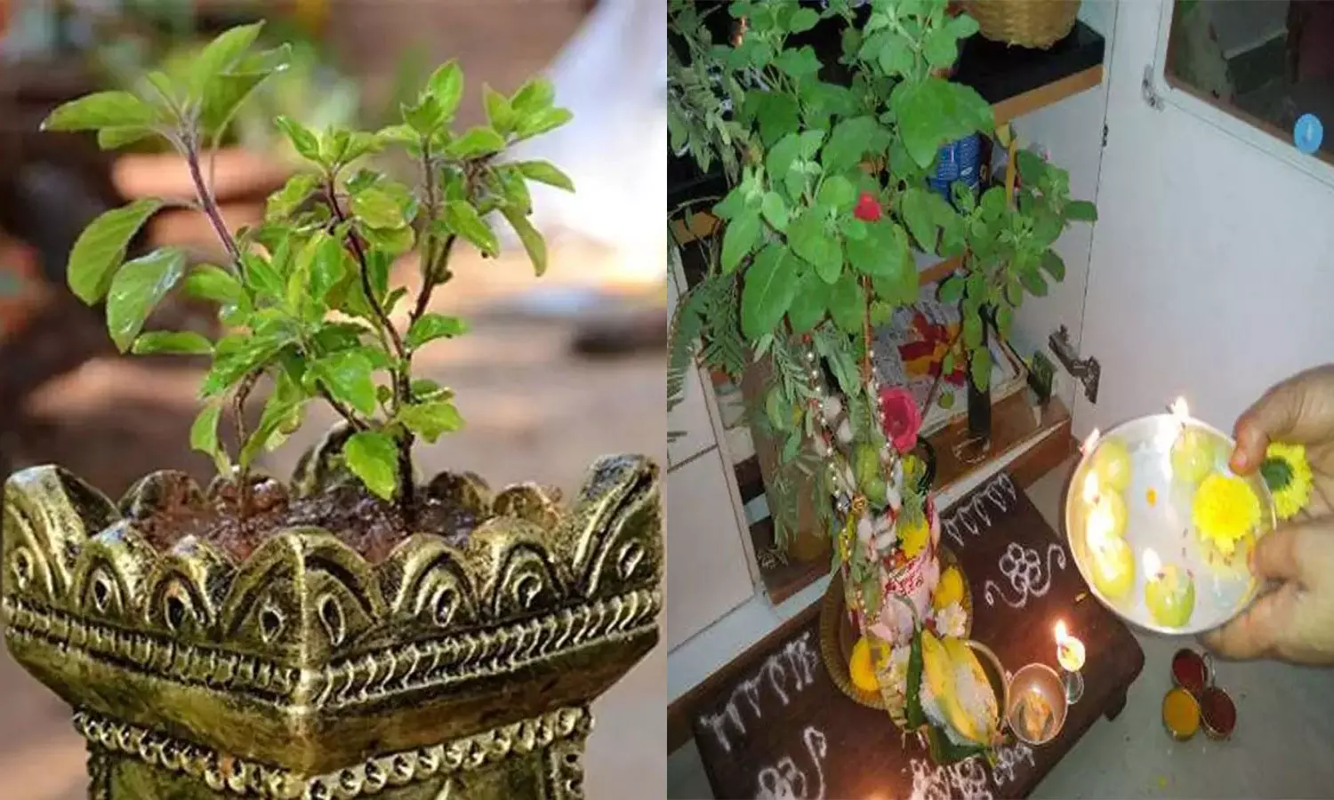 Indraya Panchangam மற்றும் முக்கிய நிகழ்வுகள்- 3 அக்டோபர் 2025: துளசி கவுரி விரதம் Indraya Panchangam மற்றும் முக்கிய நிகழ்வுகள்- 3 அக்டோபர் 2025: துளசி கவுரி விரதம்