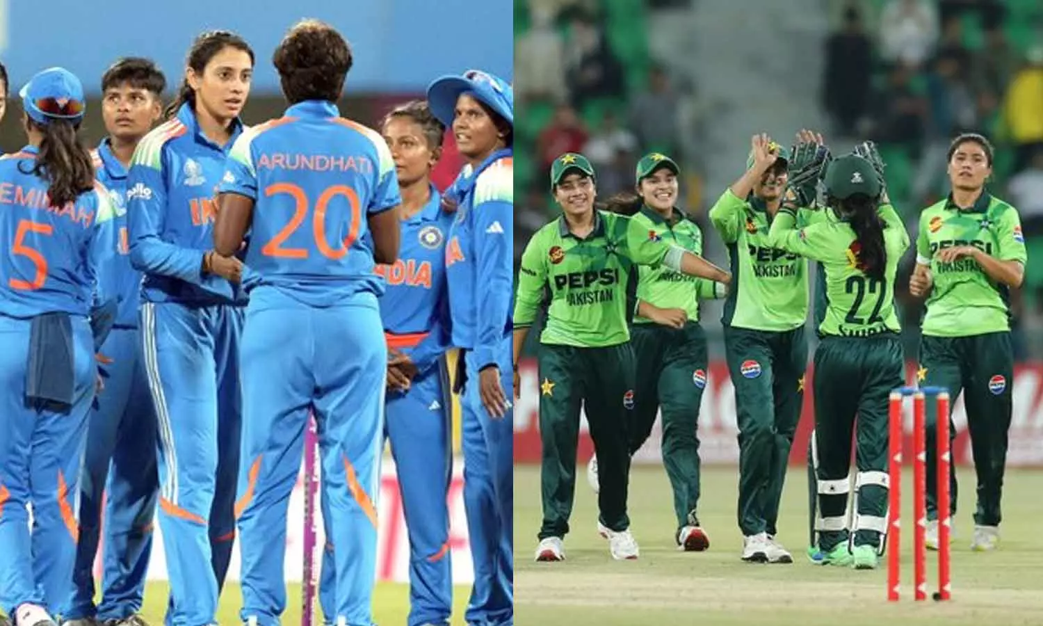 மகளிர் உலக கோப்பை கிரிக்கெட்: இந்தியா- பாகிஸ்தான் அணிகள் நாளை மோதல் மகளிர் உலக கோப்பை கிரிக்கெட்: இந்தியா- பாகிஸ்தான் அணிகள் நாளை மோதல்