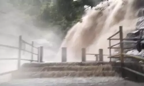 மேகமலை அருவியில் திடீர் வெள்ளப்பெருக்கு: சுற்றுலா பயணிகள் வெளியேற்றம்