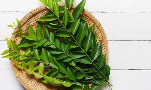 சர்க்கரை நோய்க்கு மருந்தாகும் கறிவேப்பிலை