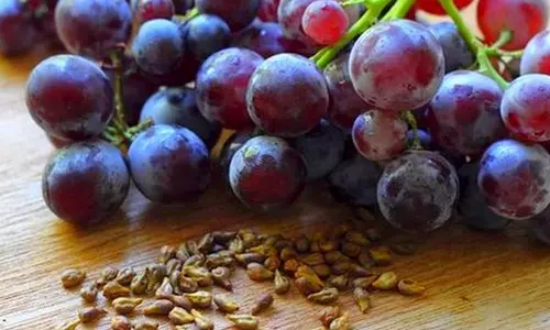 மருத்துவ குணங்கள் நிறைந்த திராட்சை விதை...