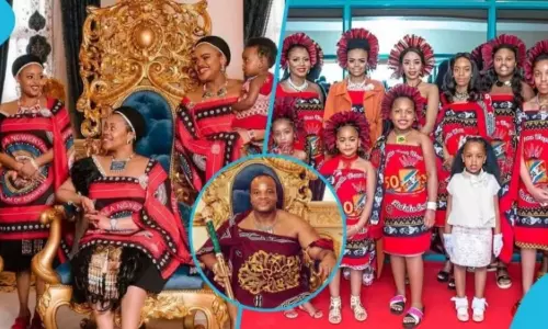 VIDEO: 15 மனைவிகள் மற்றும் 30 குழந்தைகளுடன் அபுதாபிக்கு வந்த ஆப்பிரிக்க மன்னர்