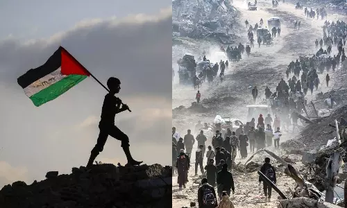 காசாவில் இடிபாடுகளை அகற்றவே 10 ஆண்டுகள்.. நில வளத்தை மீட்டெடுக்க 25 ஆண்டுகள் ஆகும் - ஐ.நா. அறிக்கை