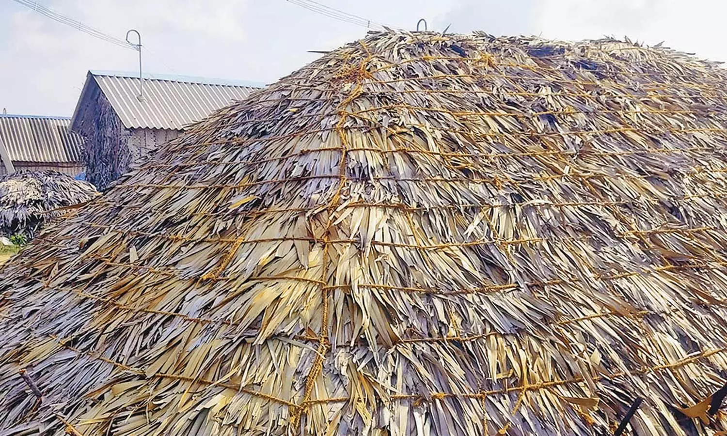 அகஸ்தியன்பள்ளியில் இருப்பு உள்ள உப்பு பனை மட்டை தார்ப்பாய் கொண்டு மூடி வைக்கப்பட்டுள்ள காட்சி.