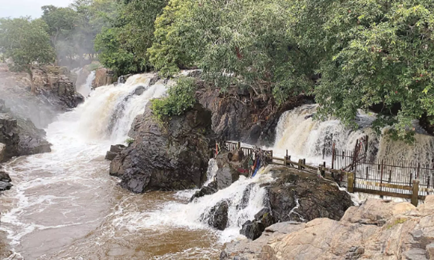 காவிரி நீர்ப்பிடிப்பு பகுதிகளில் கனமழை - ஒகேனக்கல்லுக்கு நீர்வரத்து 65 ஆயிரம் கனஅடியாக அதிகரிப்பு காவிரி நீர்ப்பிடிப்பு பகுதிகளில் கனமழை - ஒகேனக்கல்லுக்கு நீர்வரத்து 65 ஆயிரம் கனஅடியாக அதிகரிப்பு