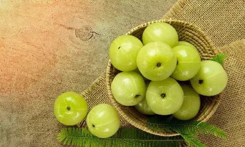 தமிழர்களின் கைமருந்து - நெல்லியின் மகிமைகள்!