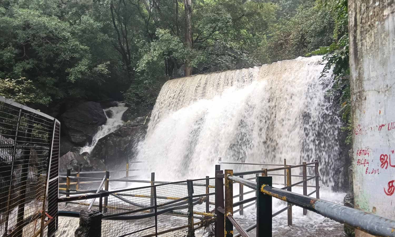 தேனி மாவட்டத்தில் தொடரும் கனமழை: சோத்துப்பாறை அணை நீர்மட்டம் ஒரேநாளில் 10 அடி உயர்வு