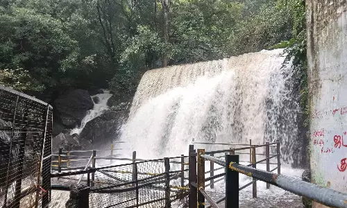 தேனி மாவட்டத்தில் தொடரும் கனமழை: சோத்துப்பாறை அணை நீர்மட்டம் ஒரேநாளில் 10 அடி உயர்வு