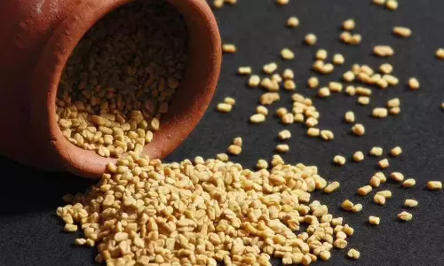 கல்லீரல் பிரச்சனைக்கு வழிவகுக்கும் வெந்தயம்?