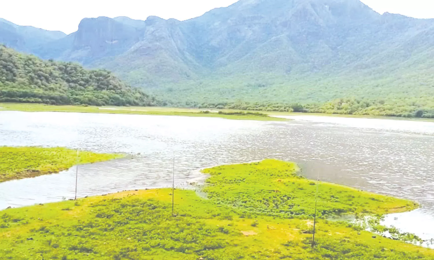 மேற்கு தொடர்ச்சி மலை பகுதியில் கனமழை - ஒரே நாளில் 6 அடி நீர் மட்டம் உயர்ந்த பிளவக்கல் அணை