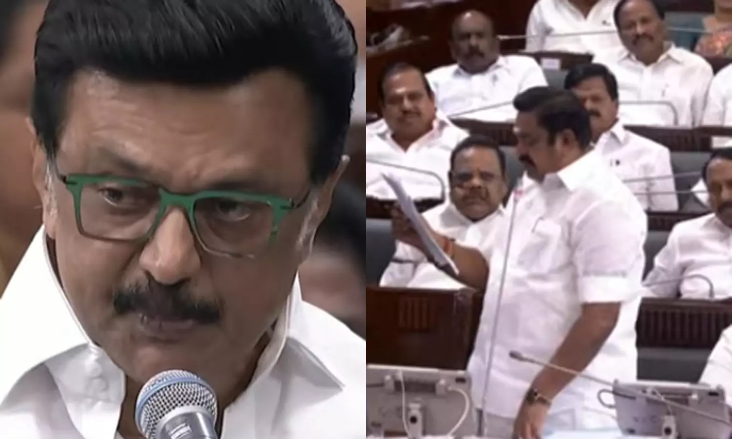 கள்ளக்குறிச்சிக்கு No கரூருக்கு Yes ஏன்? - இ.பி.எஸ். கேள்விக்கு முதலமைச்சர் பதில் கள்ளக்குறிச்சிக்கு No கரூருக்கு Yes ஏன்? - இ.பி.எஸ். கேள்விக்கு முதலமைச்சர் பதில்