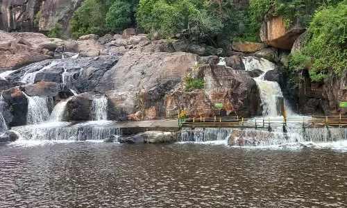 தொடர் மழையால் நீர்வரத்து அதிகரிப்பு: மணிமுத்தாறு அருவியில் குளிக்க தடை