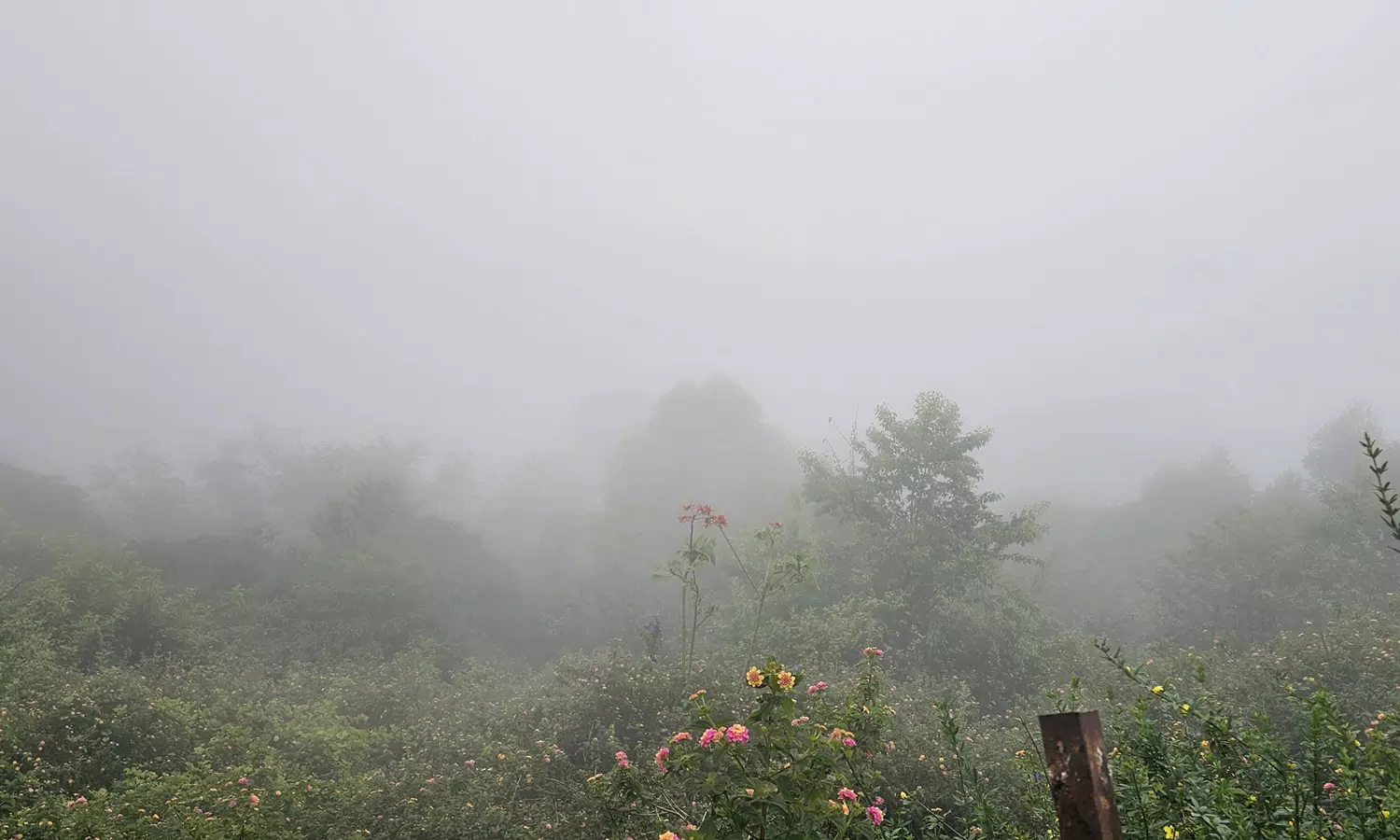 கொடைக்கானலில் தொடர் மழை - பகலை இரவாக்கிய கடும் பனி மூட்டத்தால் வாகன ஓட்டிகள் தவிப்பு