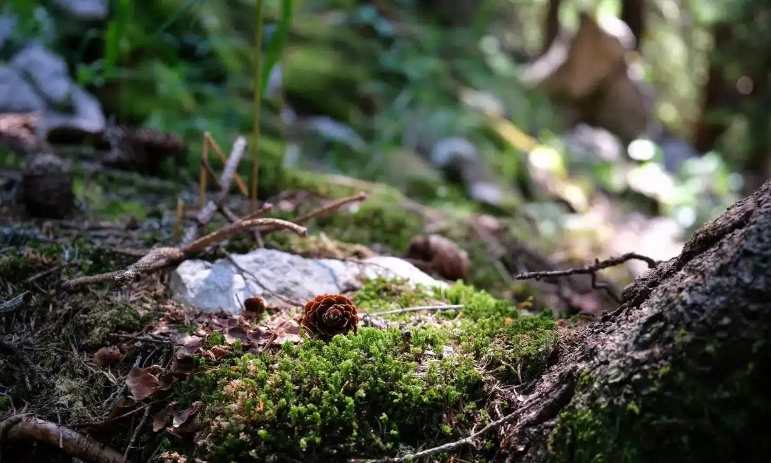 இயற்கையோடு நேரம் செலவிடுங்கள்...