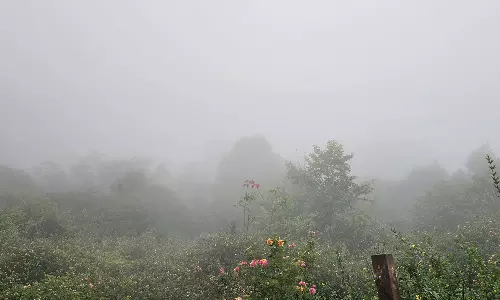 கொடைக்கானலில் தொடர் மழை - பகலை இரவாக்கிய கடும் பனி மூட்டத்தால் வாகன ஓட்டிகள் தவிப்பு