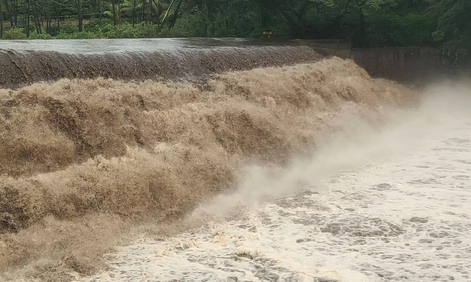 முழு கொள்ளளவை நெருங்கும் வைகை அணை நீர்மட்டம்- கடும் வெள்ளப்பெருக்கால் விவசாயிகள் அவதி